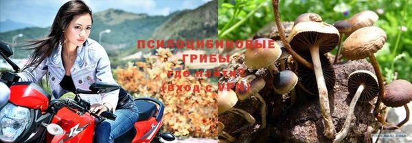 ALPHA-PVP Кинешма